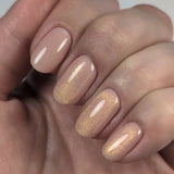 LIONESS (pre-order)