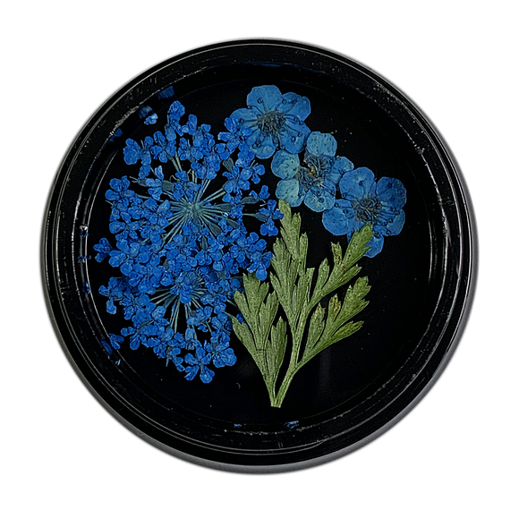 BLUE Dried Flowers